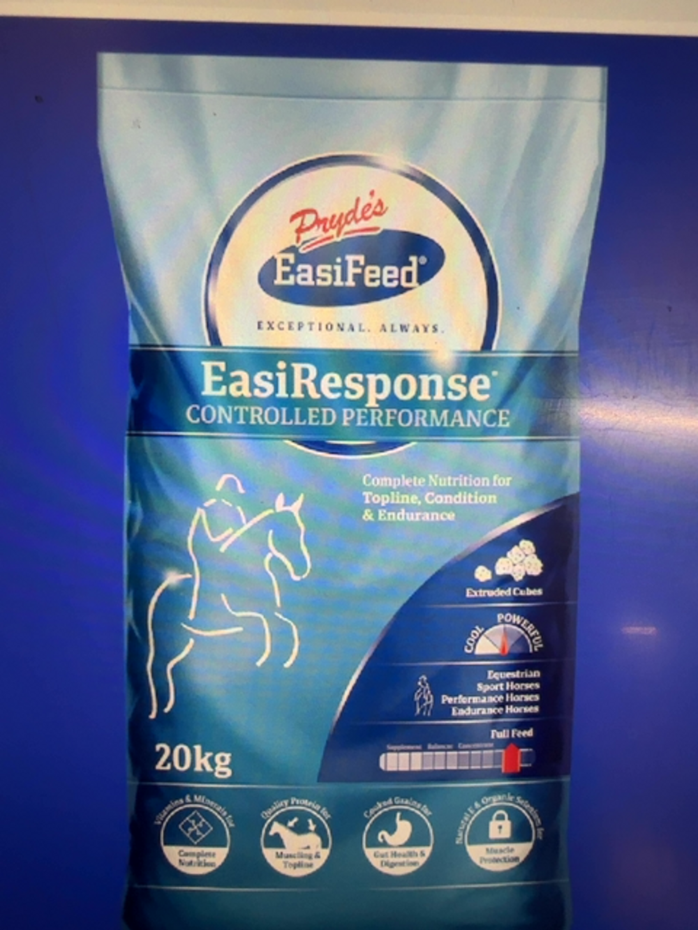PRYDES EASI RESPONSE 20KG