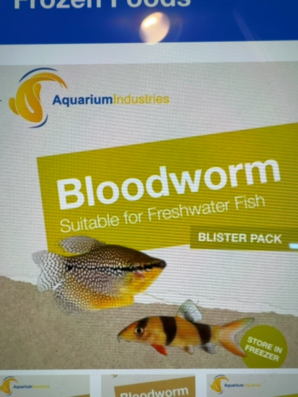 AI FROZEN BLOODWORM 100GM